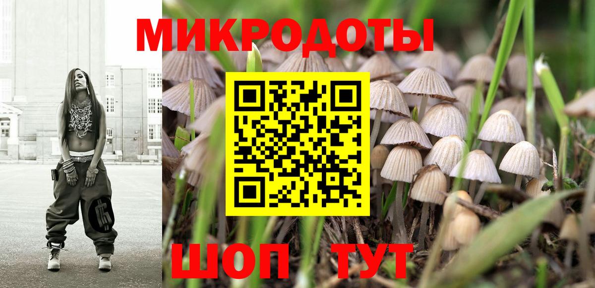 Усть-Кут  Галлюциногенные грибы MAGIC MUSHROOMS  Вход с VPN  Галлюциногенные грибы GOLDEN TEACHER 