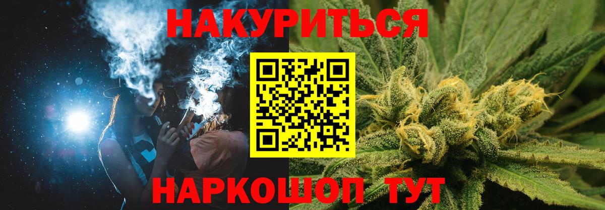 Бошки Шишки планчик  Шишки марихуана план  Усть-Кут  Каннабис сатива  Вход с VPN 